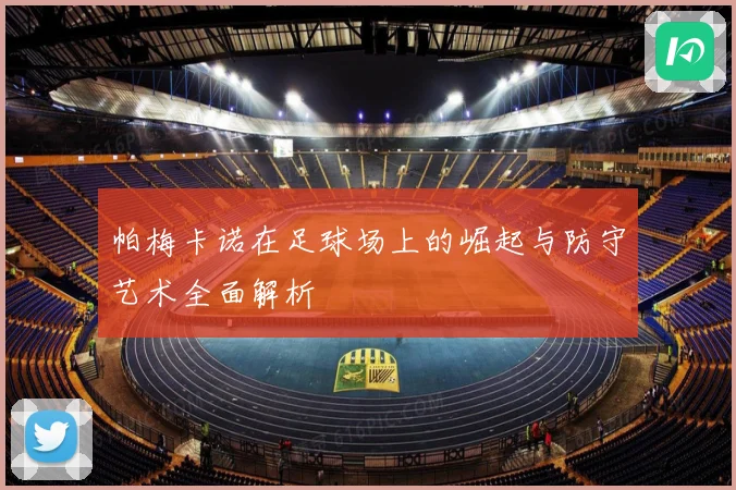 帕梅卡诺在足球场上的崛起与防守艺术全面解析