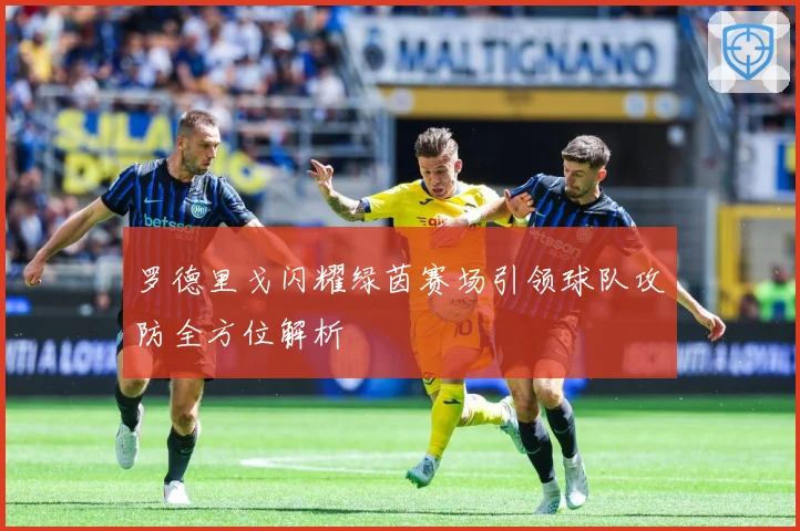 罗德里戈闪耀绿茵赛场引领球队攻防全方位解析