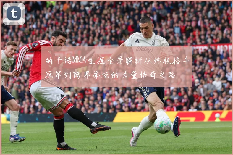 纳干诺MMA生涯全景解析从终极格斗冠军到跨界拳坛的力量传奇之路